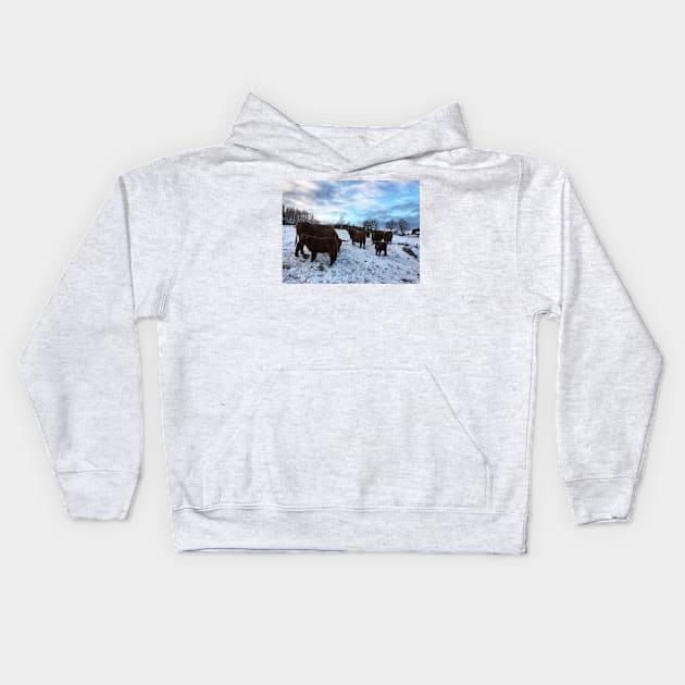 Scottish Highland Cattle Cows and Calves 1605 Kids Hoodie by SaarelaHighland